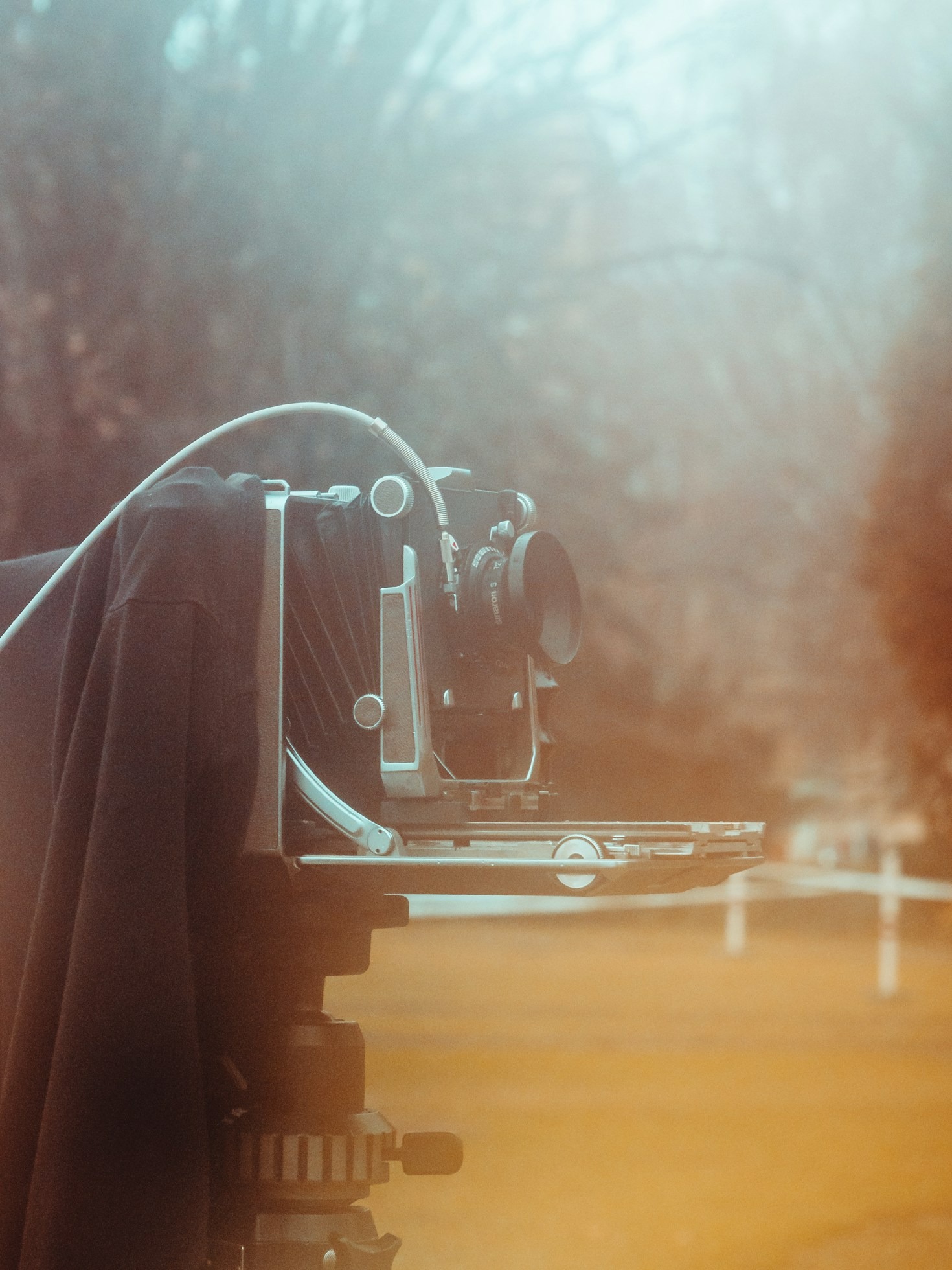 Discovering Art Through Film at Tenant416